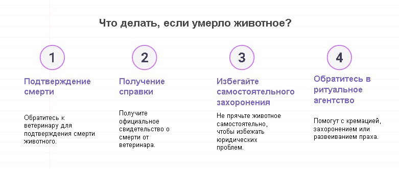 Если умерло домашнее животное: что делать и куда обращаться в Киеве?